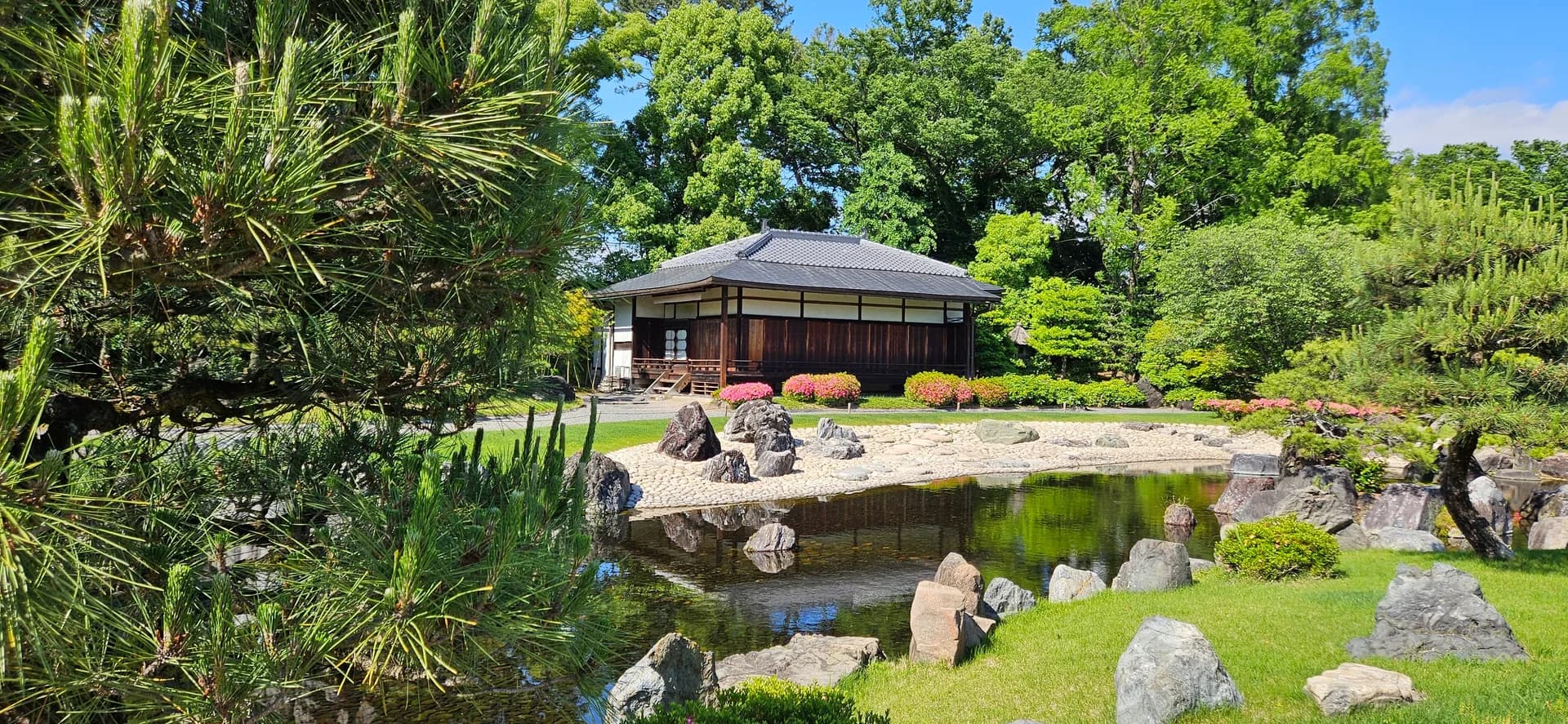 Photo from our Japan trip