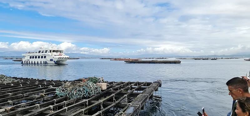 Barco de los mejillones O Grove - Barco La Toja